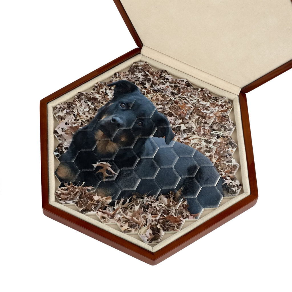 Personalized Ceramic Hexagon Photo Puzzle