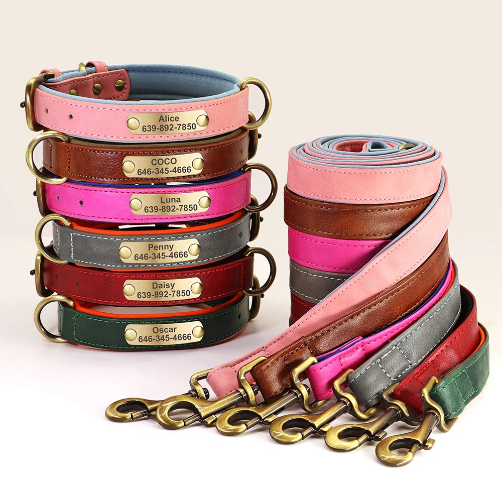 Personalized dog collar and leash set online