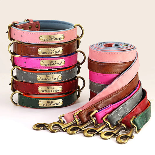Personalized Dog ID Padded Collar Leash Set
