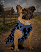 Black & Blue Cow Print Knitted Dog Sweater