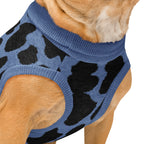 Black & Blue Cow Print Knitted Dog Sweater