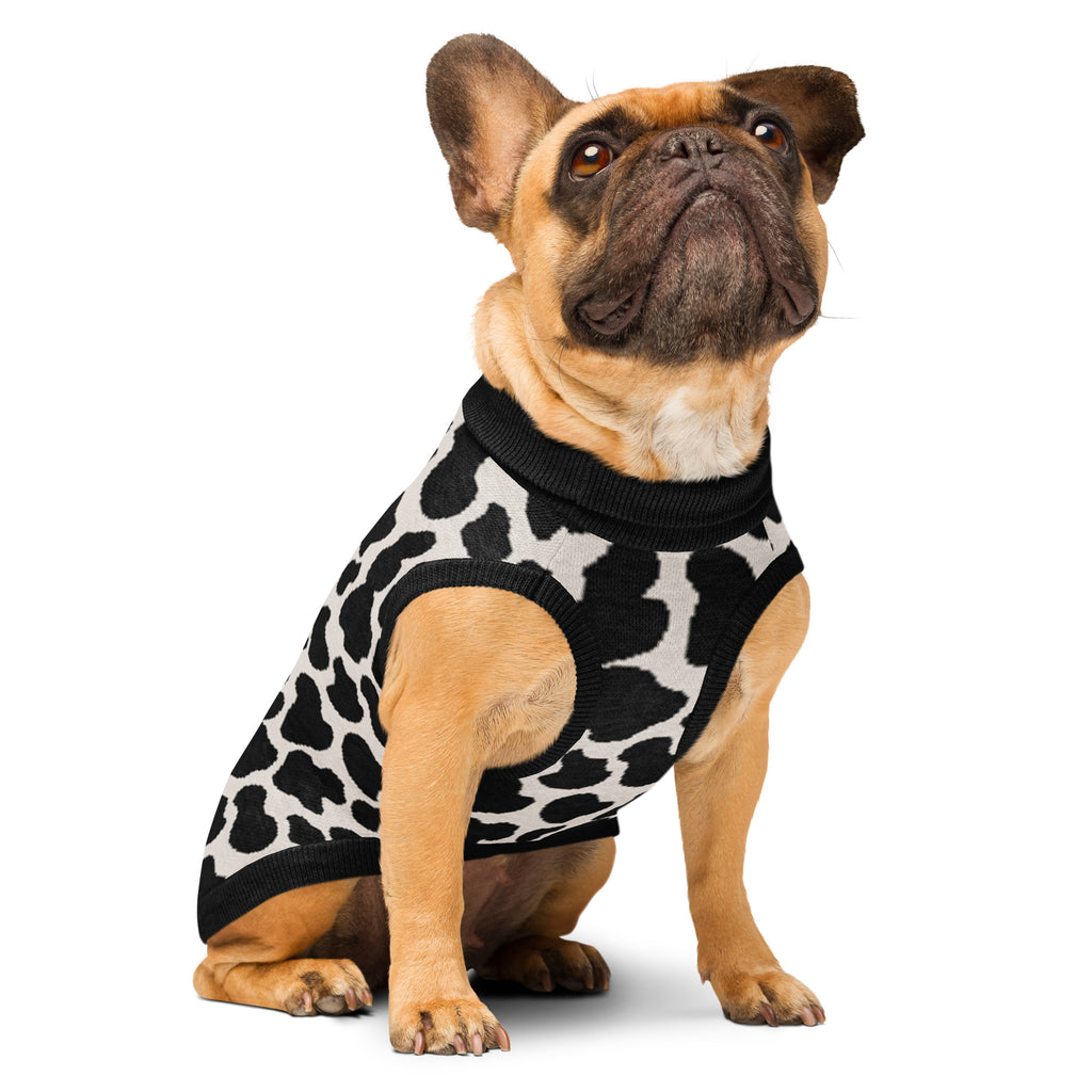 Dog wearing a black and white patterned sweater on a white background