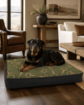 A Rottweiler dog lies on a rectangular dog bed in a styled living room. The dog bed has an olive green top with a gold horse-bit pattern and a dark charcoal gray side border.