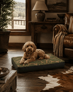 A golden doodle lies on a rectangular dog bed with a green and gold equestrian bit print pattern in a rustic living room with wood floors, a leather sofa, and a lamp in the background.